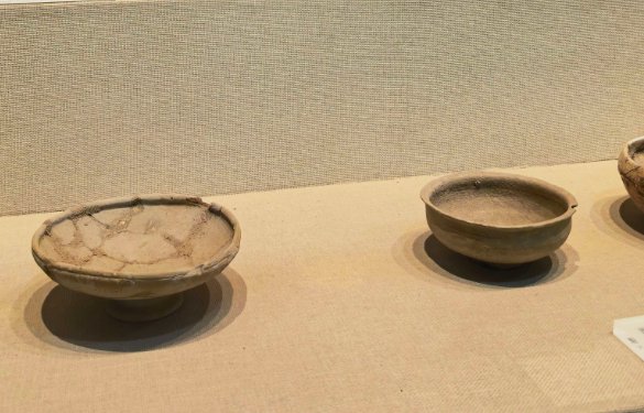 【10月31日】博物馆小小策展人 图片4